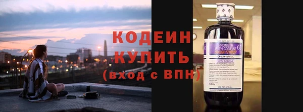 хмурый Елизово