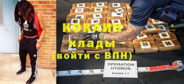 хмурый Елизово
