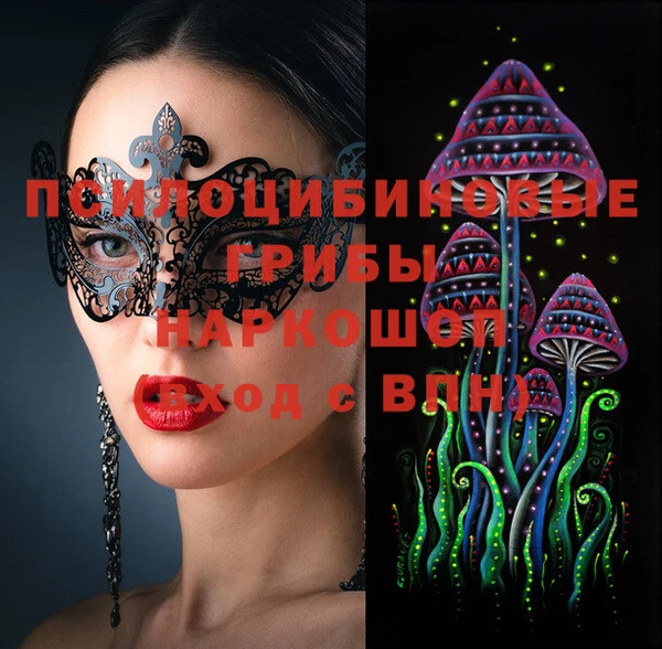 первитин Ельня