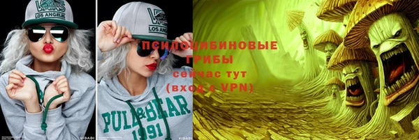 первитин Ельня