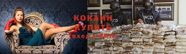 хмурый Елизово