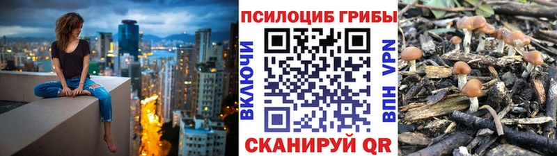 Купить закладки  Тейково  Псилоцибиновые грибы ЛСД 